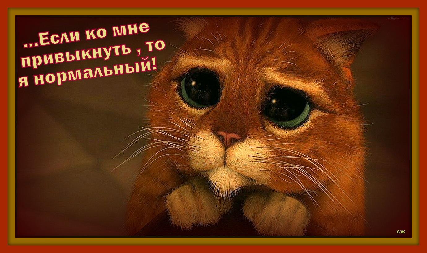  - 9  2018  01:12 - 3