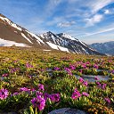 ���� ������, ����, 52 ���� - ��������� 29 ��� 2018 � ������ ��������