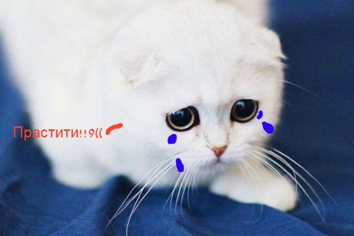 9(  1! 1!!     21 00   15 00   9((  ...