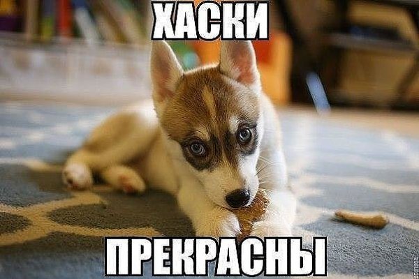 ��� ��� ���...!!! #�������� #���u��� #������ - 3