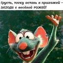 ���� �����, ����-�������, 47 ��� - ��������� 27 ������ 2018 � ������ ������ ��������