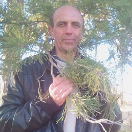 ������, ���������, 49 ���