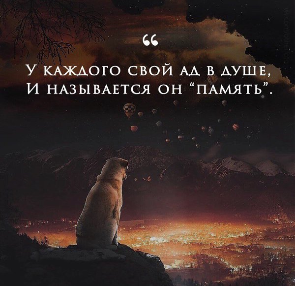   -  ,  -  - 31  2017  03:45