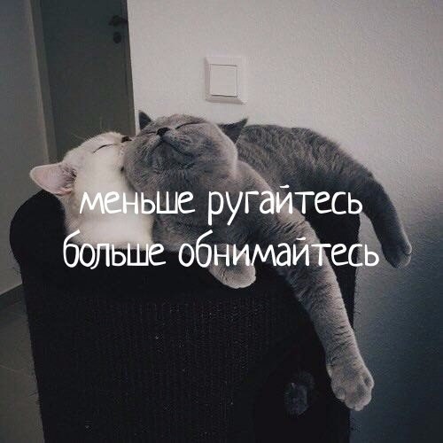    - 21  2017  08:16