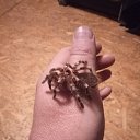 ���� ����, �����, 51 ��� - ��������� 6 ��� 2018 � ������ ������ ��������