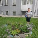  � �����x � �������� ���� . �� ������� �������