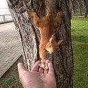 ���������. ������ �����. �� ������� ������