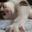 ������� ���... �� ������� ���� �������� � ������ �����...�