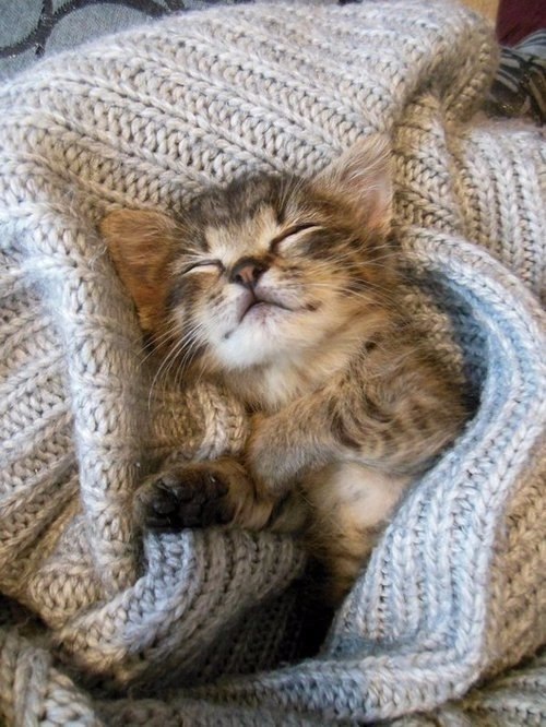  ).,    ;,    .,    ... - 2