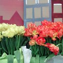 ���� ������, �����-���������, 70 ��� - ��������� 6 ����� 2018 � ������ ���� ����������