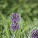  , , 68  -  23  2018    2018