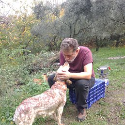 ���� �����, �������, 55 ��� - ��������� 11 ������� 2017