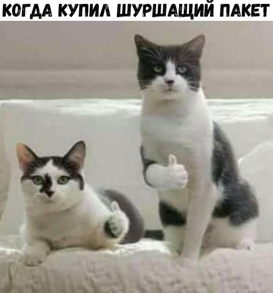   :D - 12  2018  03:34