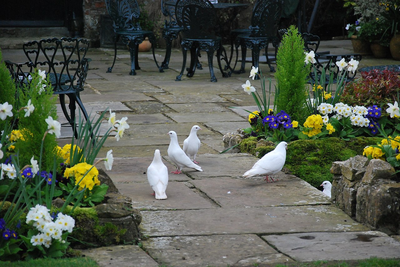 .    /Amberley Castle.  - Amberley Castle  ... - 33