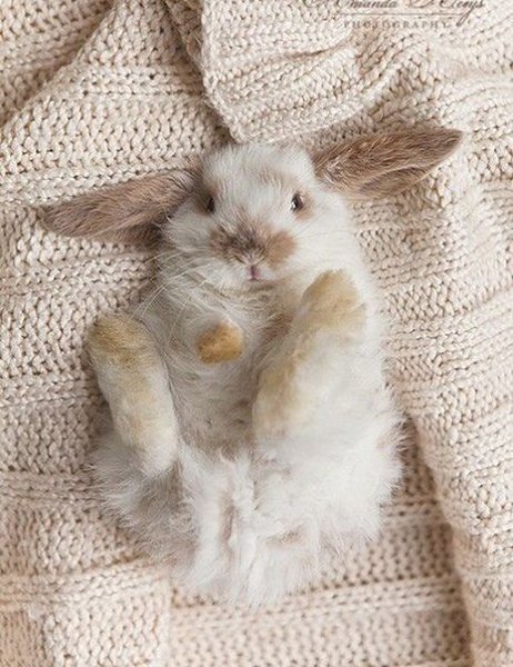 Доброе утро).Улыбнись, когда на небе тучи;улыбнись, когда в душе ненастье.Улыбнись, и сразу станет ... - 5