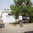  , -, 54  -  11  2018    