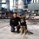  , , 67  -  5  2018    .