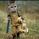 ���� Tala, ������� - ��������� 10 ��� 2018 � ������ ���� ����������