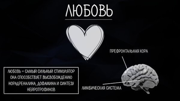 ��������� ���� - 3