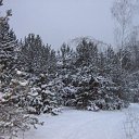 ���� ������, �������� - ��������� 30 ������� 2017 � ������ ���� ����������