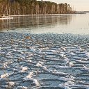 ���� ������, ������, 56 ��� - ��������� 9 ������� 2018 � ������ ���� ����������