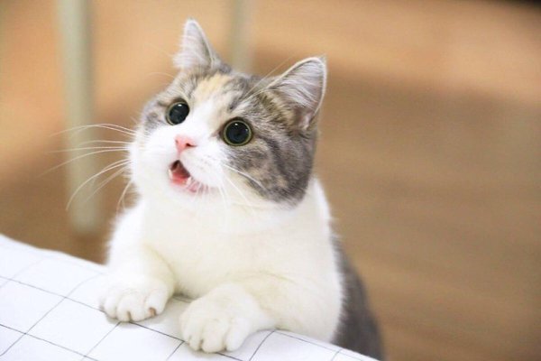  : - 3