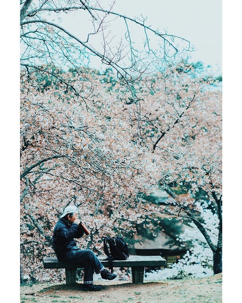 Japan - 7