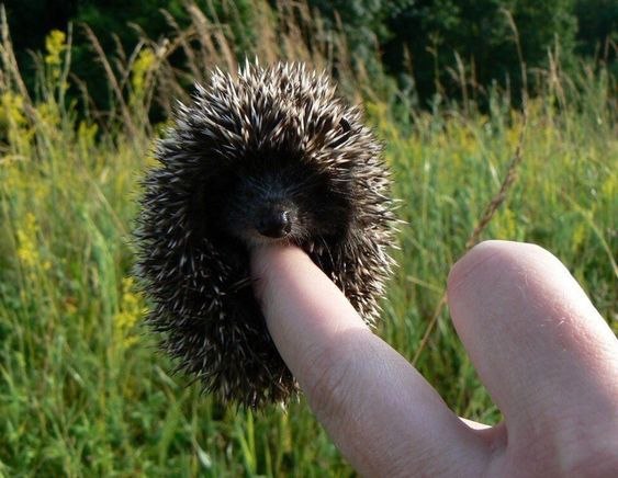 �������� �������! - 4 ������� 2018 � 20:17