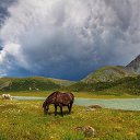 ���� ����, ������ - ��������� 11 ��� 2018