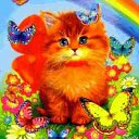 ���� �����, �������� ����, 48 ��� - ��������� 19 ������ 2017 � ������ ���� ����������