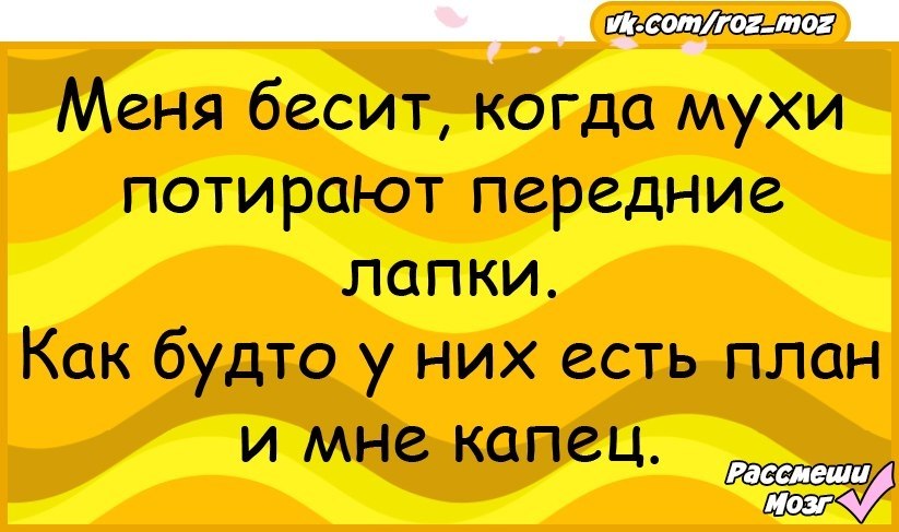  - 16  2018  02:48