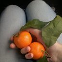 ���� �����, ��������, 27 ��� - ��������� 14 ������ 2018 � ������ ���� ����������