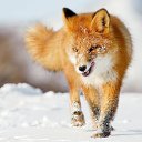 ���� Marlen, ����������� - ��������� 17 ������ 2018 � ������ ������ ��������