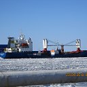 ���� ��������, �����������, 41 ��� - ��������� 23 ��� 2018 � ������ ���� ����������