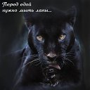 ���� ��������, ��������� - ��������� 16 ���� 2018