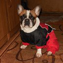 ���� ������, ��������, 48 ��� - ��������� 10 ������� 2017 � ������ �����!!!�