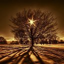 ���� ����, ��������� - ��������� 7 ������� 2018 � ������ ���� ����������