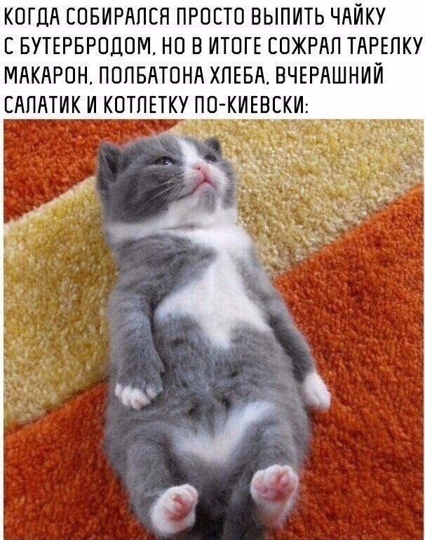 #@bon