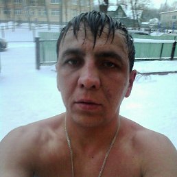 �����, �����-���������, 41 ���