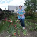 ���� ������, ������������ - ��������� 11 ������ 2018 � ������ �������