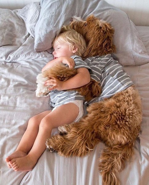 3-летний усыновлённый мальчик и пёс из приюта – лучшие друзья. Очень трогательные и фотогеничные ... - 5
