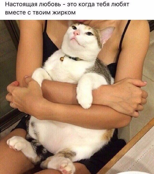    |   - 3  2018  03:37