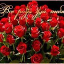 ���� ���������, ���������, 68 ��� - ��������� 13 ���� 2018 � ������ ���� ����������