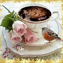 ���� ����, ������, 51 ��� - ��������� 1 ���� 2018 � ������ ���� ����������