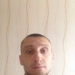 �������, �����, 41 ���