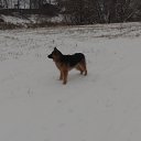 ��� ��� ������ ����