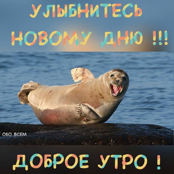Вот и новый день настал... Что несёт он? Мы не знаем! Но, конечно, важно то, Как его мы принимаем. ...