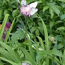  , - -  26  2018     2018