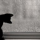 ���� ������, �����-��������� - ��������� 30 ������ 2018 � ������ ���� ����������