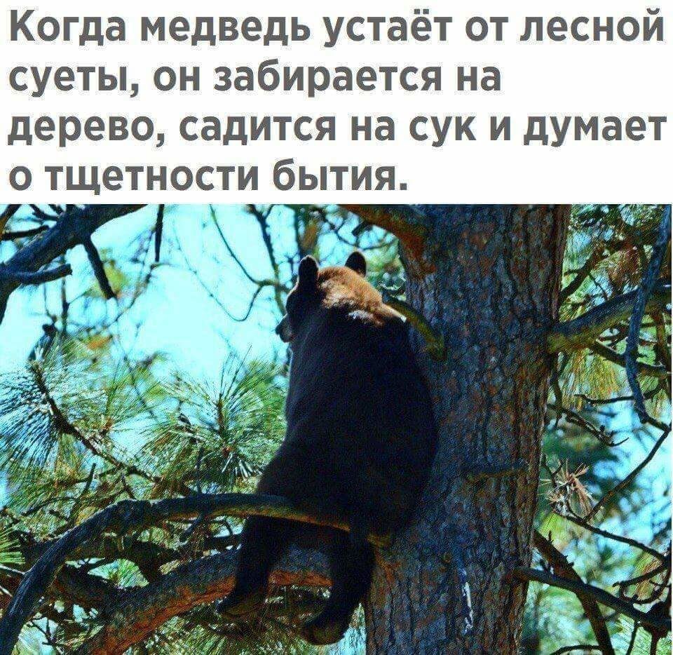 ***Victoria Viktorovna*** - 11  2018  15:21
